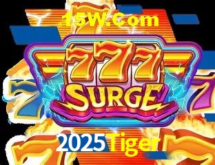 Sistemas de Segurança 2025Tiger