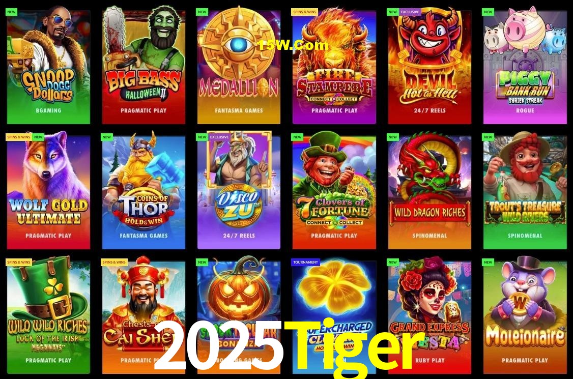 Security Systems 2025Tiger