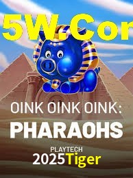 Experiência VIP 2025Tiger